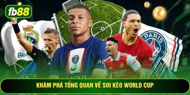 Khám phá tổng quan về soi kèo World Cup