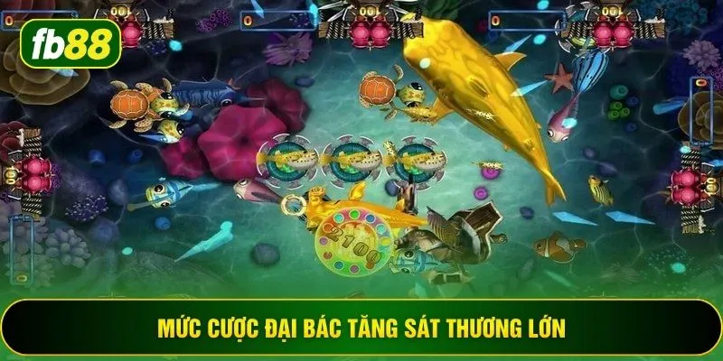 Mức cược đại bác tăng sát thương lớn
