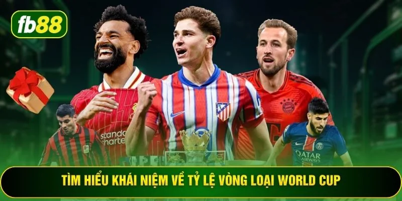 Tìm hiểu khái niệm về tỷ lệ vòng loại World Cup